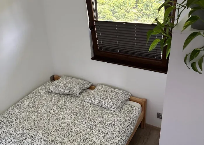 Pod Jarzebina بورسك